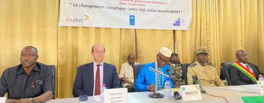 Lutte contre le changement climatique : la région de Koulikoro accueille deux projets