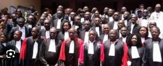  Mort du général Sadiba Coulibaly : Le Barreau de Guinée réfute la thèse officielle