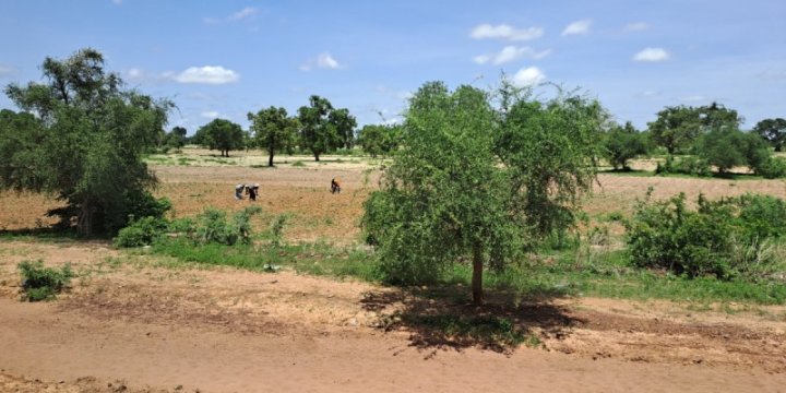 <span class="caps">RECRUDESCENCE</span> <span class="caps">DE</span> L'<span class="caps">INSECURITE</span> : Une menace sur la campagne agricole au Centre du Mali<small class="fine d-inline"> </small>? 